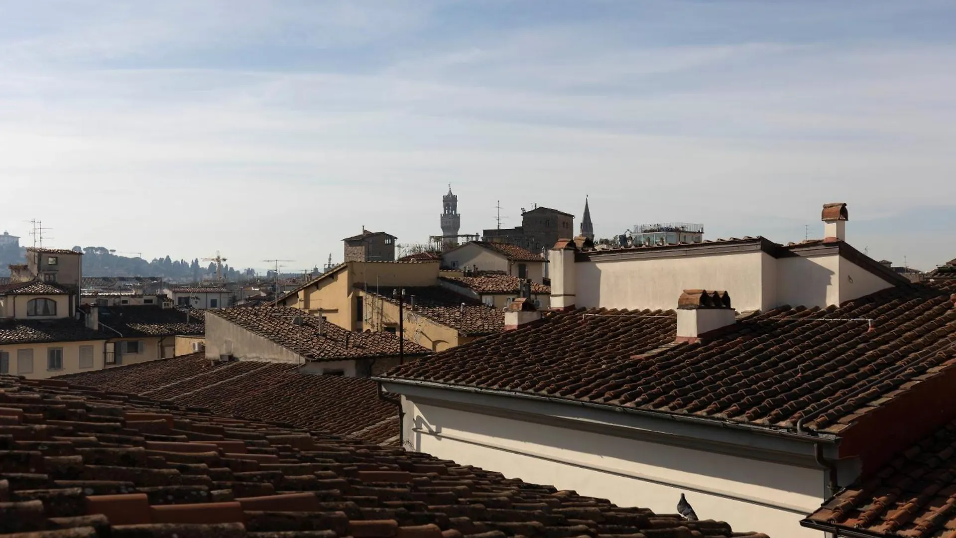 Palazzo Cecchi Luxury Apartment Florence